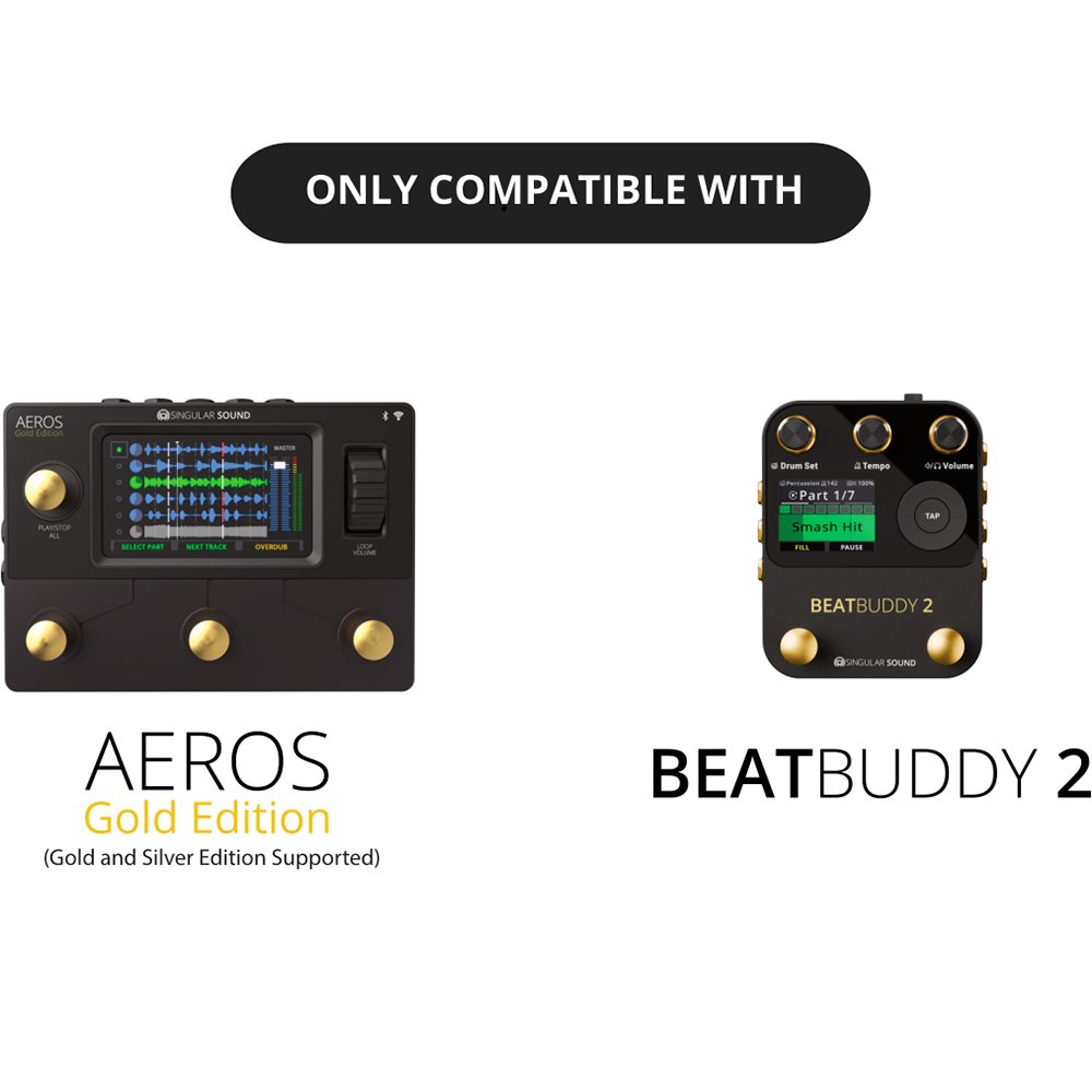 Singular Sound Superswitch for Beatbuddy 2 Drum Machine and Aeros Looper