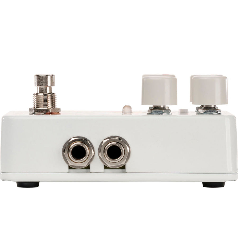 Electro-Harmonix Canyon Delay & Looper