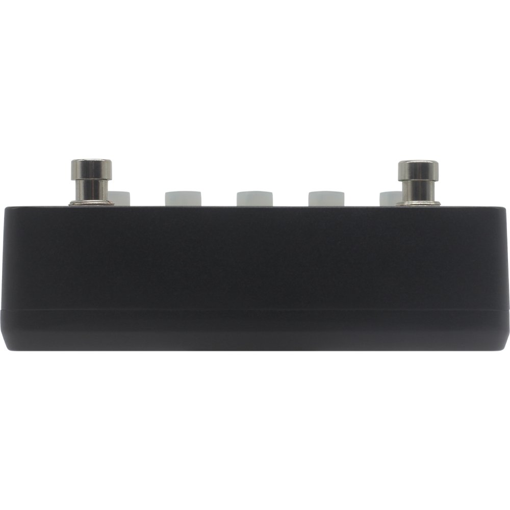 Hotone Binary Eko BDL-1 Dual Switch Delay Effect Pedal