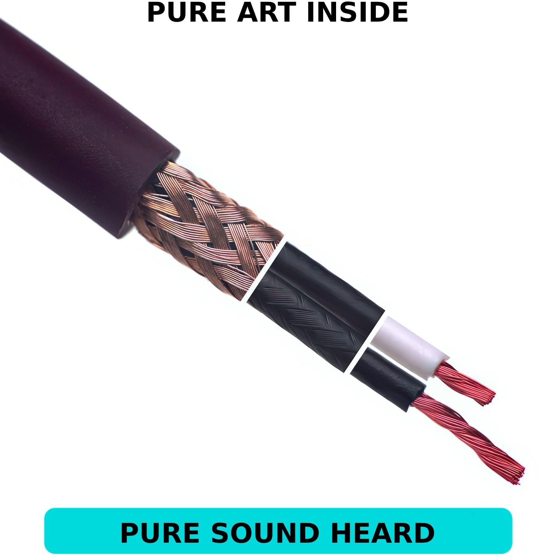 Cutaway close-up of Evidence Audio Forte cable showing braided shielding and internal conductors, labeled Pure Art Inside / Pure Sound Heard (10 ft, right-to-straight)