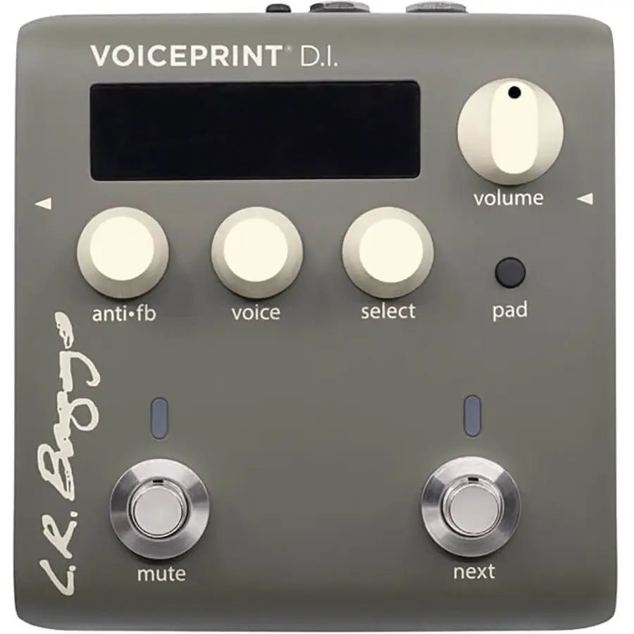 LR Baggs Voiceprint DI Acoustic Guitar Impulse Response Pedal