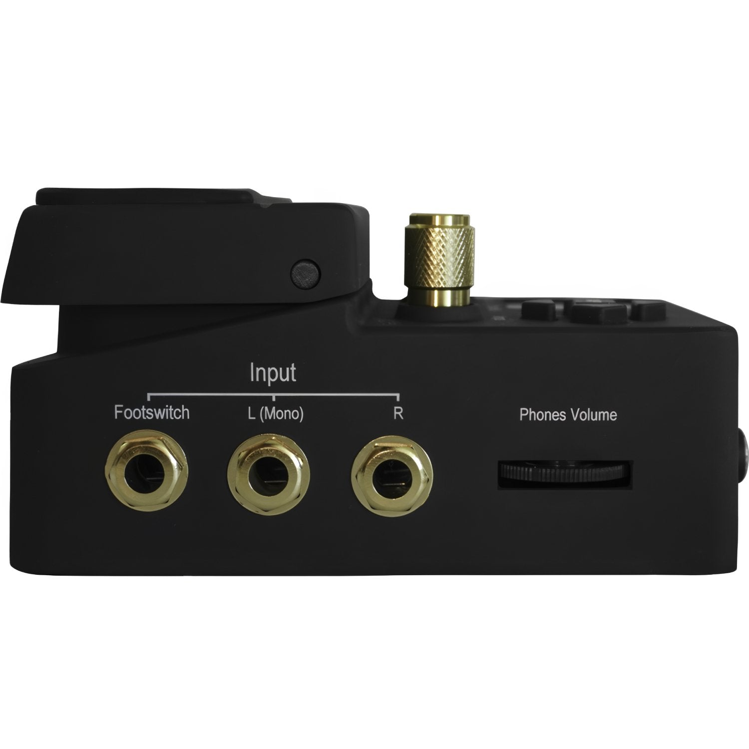 Singular Sound BeatBuddy 10th Anniversary rear panel with PS/2 MIDI sync port, Mini-USB and SD card slot
