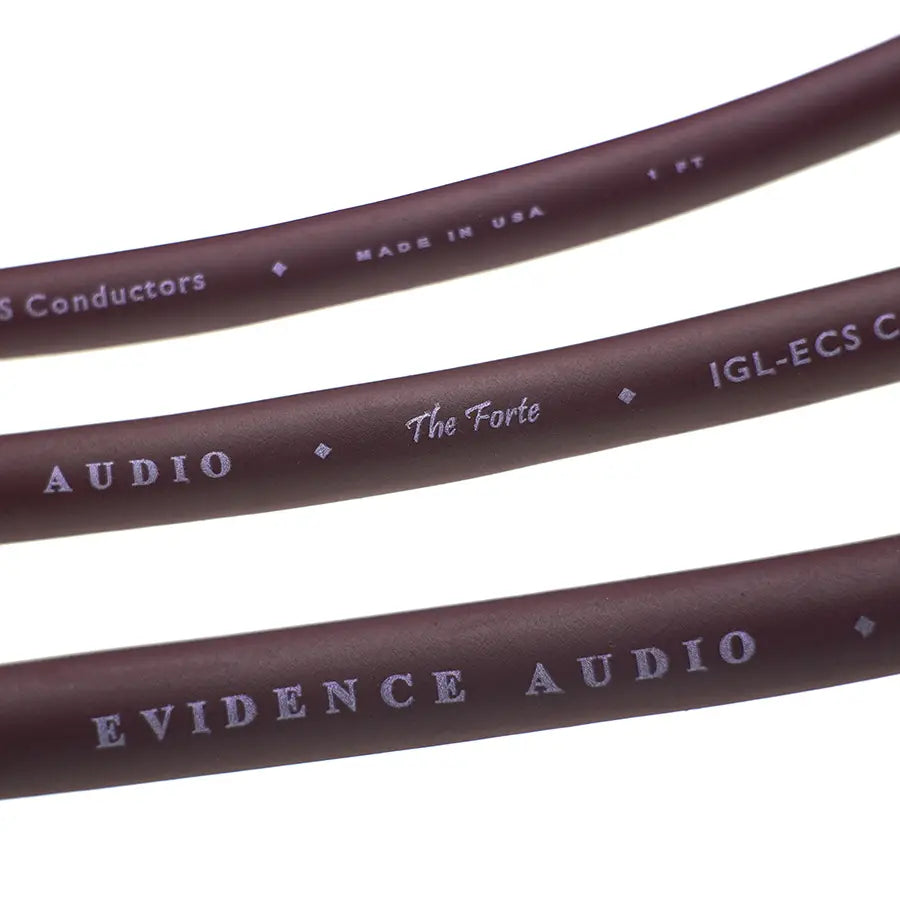 Evidence Audio The Forte Guitar Cable 10 ft Right to Straight